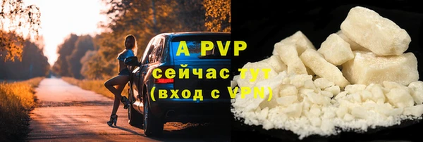 СК Белокуриха
