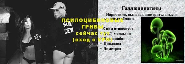 тгк Беломорск
