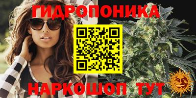 спиды Севастополь
