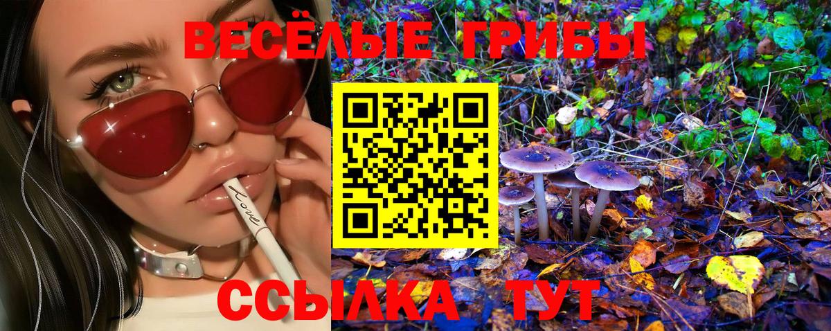 Галлюциногенные грибы Cubensis  Вход с VPN  Пыть-Ях 