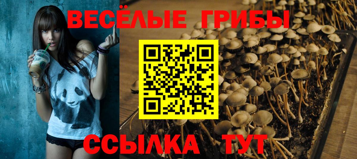 Псилоцибиновые грибы Psilocybine cubensis Пыть-Ях